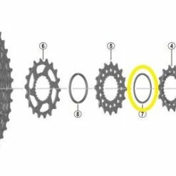 Shimano - Entretoise Y-0GX00300 Pour Cassette XT CS-M8100